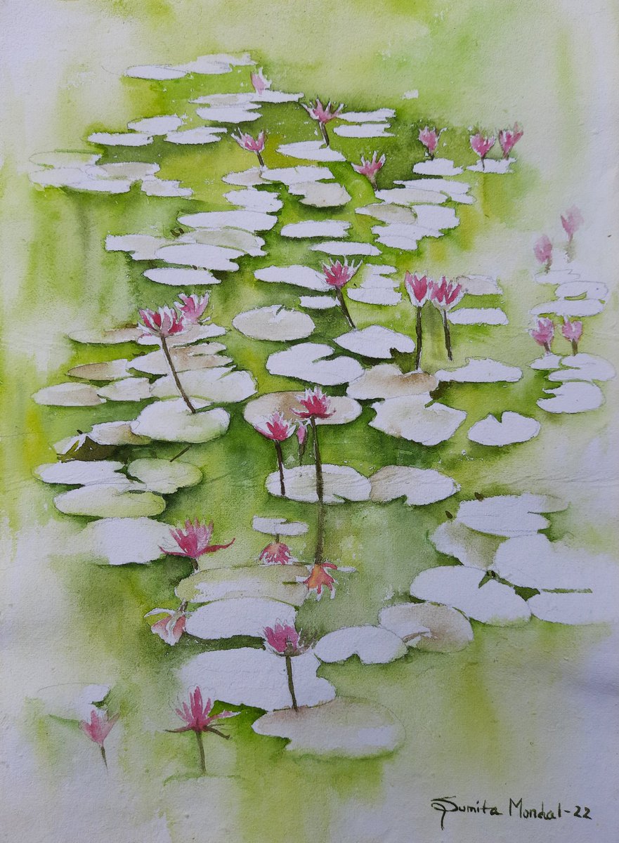 SumitasArtBook's tweet photo. waterlily
Watercolour On Paper 
size 11x15 inch
#watercolour #watercolourart #watercolorpainting #waterlily #paintings #kolkataartist #Indianartist https://t.co/OTs97pqluT