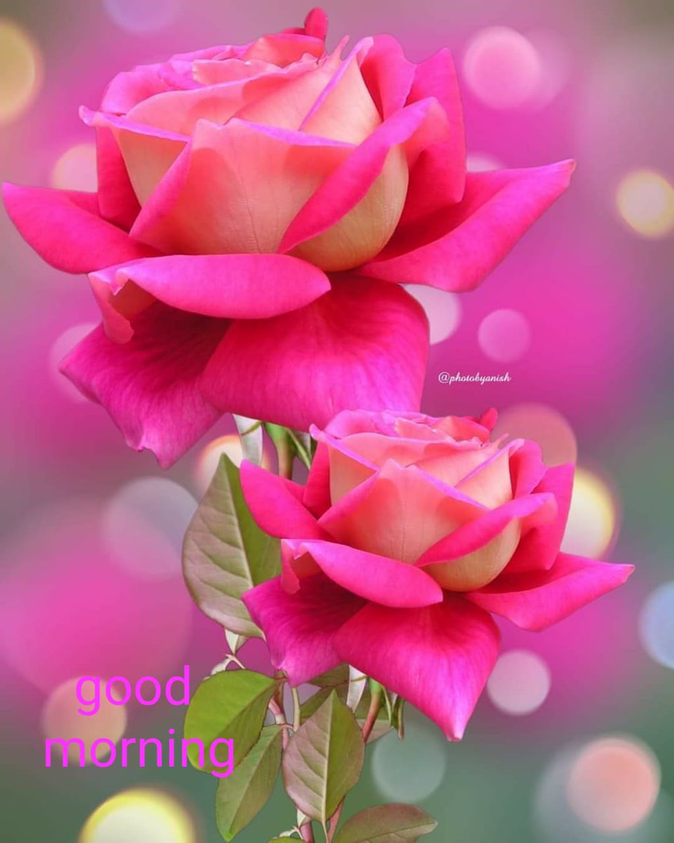 NajimPasha5's tweet photo. @Archana97873253 https://t.co/kz6ZR0H6SA