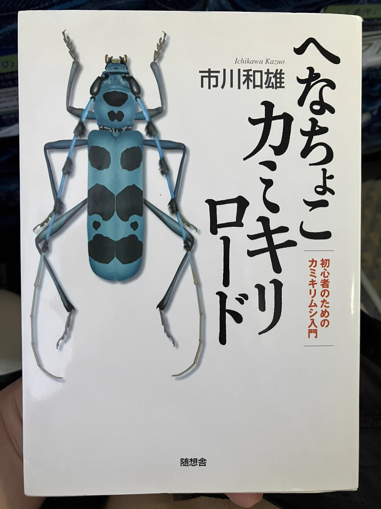 丸山宗利 Maruyama🍥 on X: 