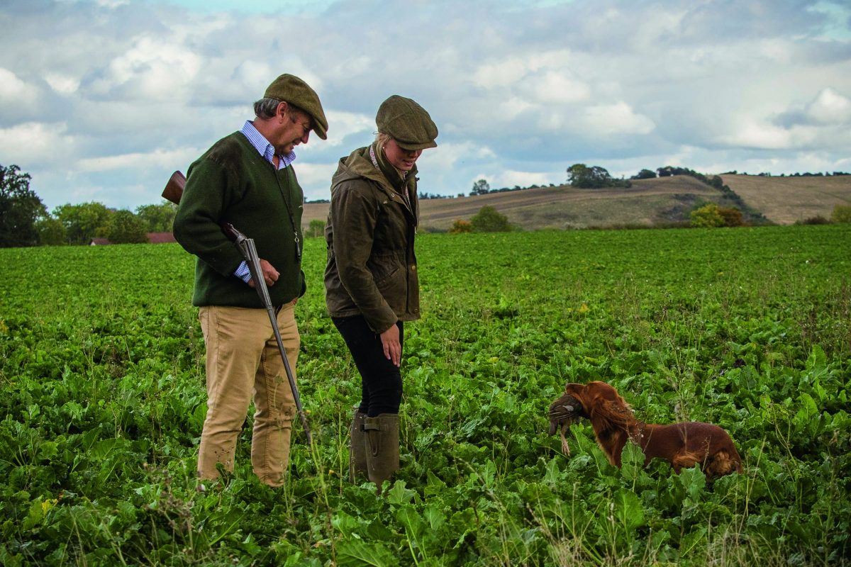 Can a gundog also be a family pet? trib.al/e0OEnQS