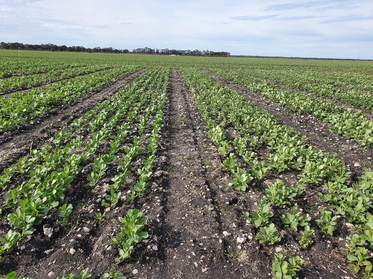 Bridget Close tweet media