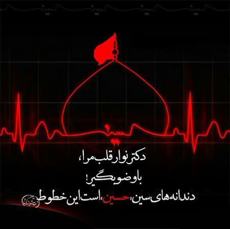 ye_zare_ketab's tweet photo. ضربان من حسین♥️🌱
#ما_ملت_امام_حسینیم
#مردم_حسینی https://t.co/RFeYtMb2f5