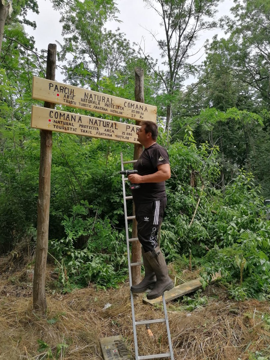 RNP_Romsilva's tweet photo. Parcul Natural Comana, o destinație perfectă pentru bucureștenii care vor să petreacă o zi cu experiențe frumoase în aer liber.
#Comana #natural #nature #birds #birdwatching https://t.co/Do2dnSxwcO