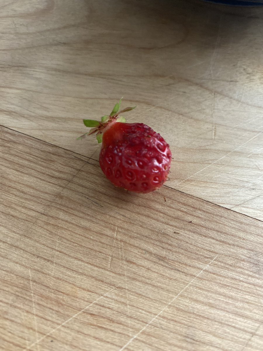 sasprea's tweet photo. @MikeStandish I don’t think this rule applies to all strawberries. https://t.co/4i16txBBFi