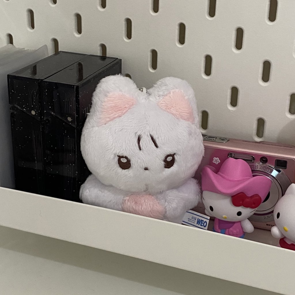 riaceived's tweet photo. chanicat has finally arrived! Ω©(ΛαΛ*)Ω β‘ thank you lots @jungwonpcs for bringing another doll home #thankswon https://t.co/XJeJFTZY55