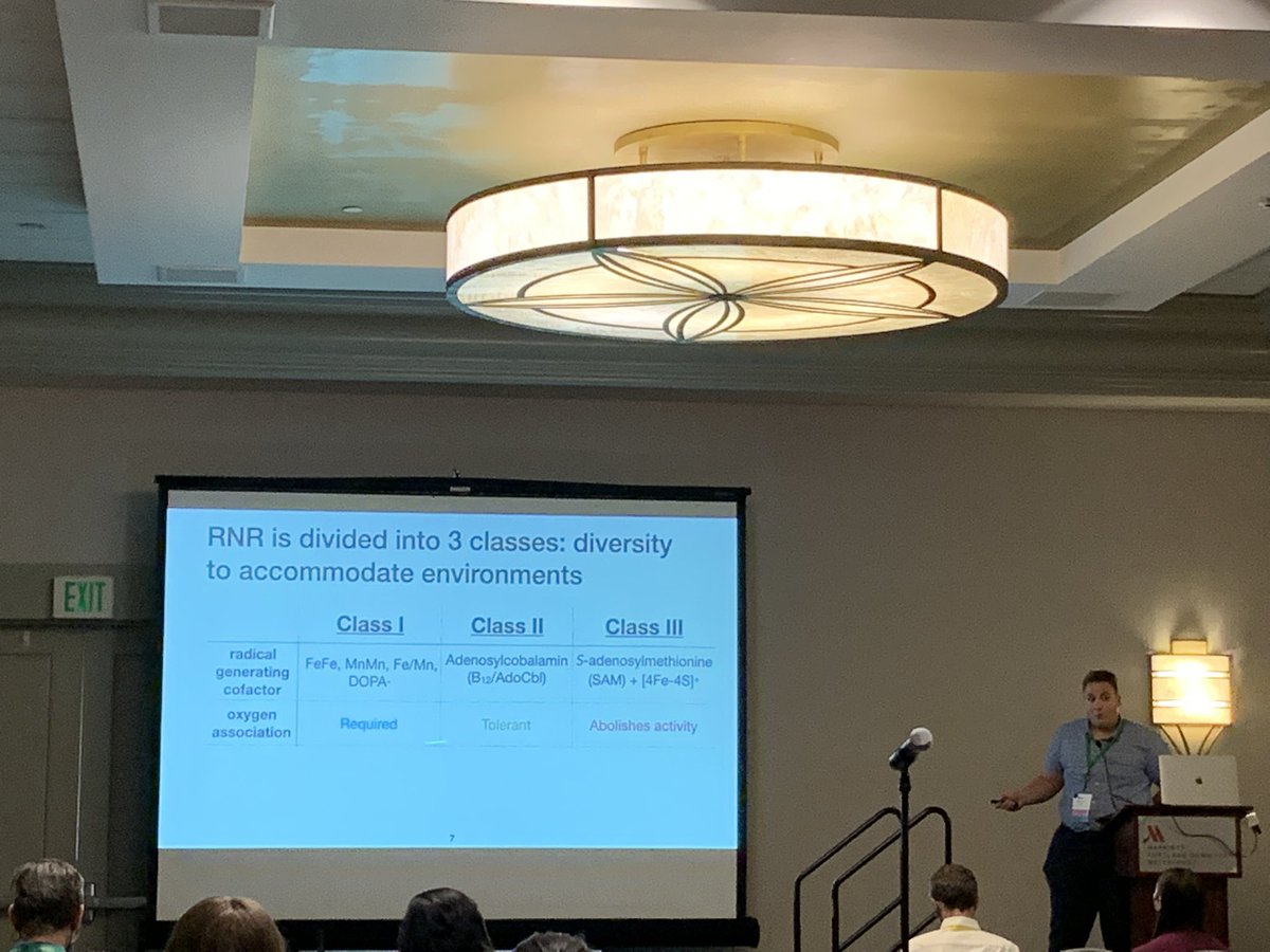 Wonderful talk by @audgems from <a href="/AndoLab/">Ando Lab</a> on the classification of the critical ribonucleotide reductase family (produces the building blocks of #DNA) and the discovery of a new class of RPR with #SAXS and #cryoEM structures! <a href="/ACAxtal/">ACAxtal</a> #acamtg2022 congrats on the SIG award 👏👏👏