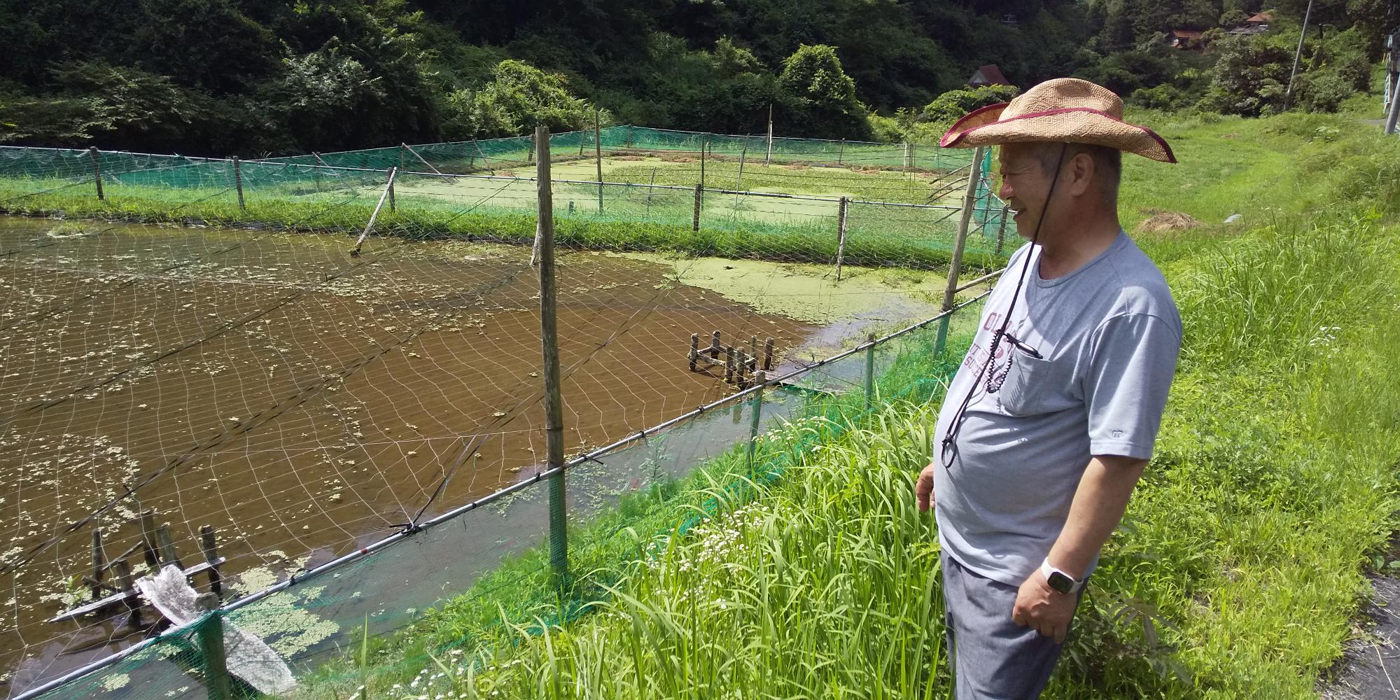 吉備の環プロジェクト 備中どじょう生産組合 高梁市備中町平川 の井上高行さん 67 の案内で 田んぼを使った養殖場所にやって来ました ドジョウ 高梁市 T Co I72ywbbopd Twitter