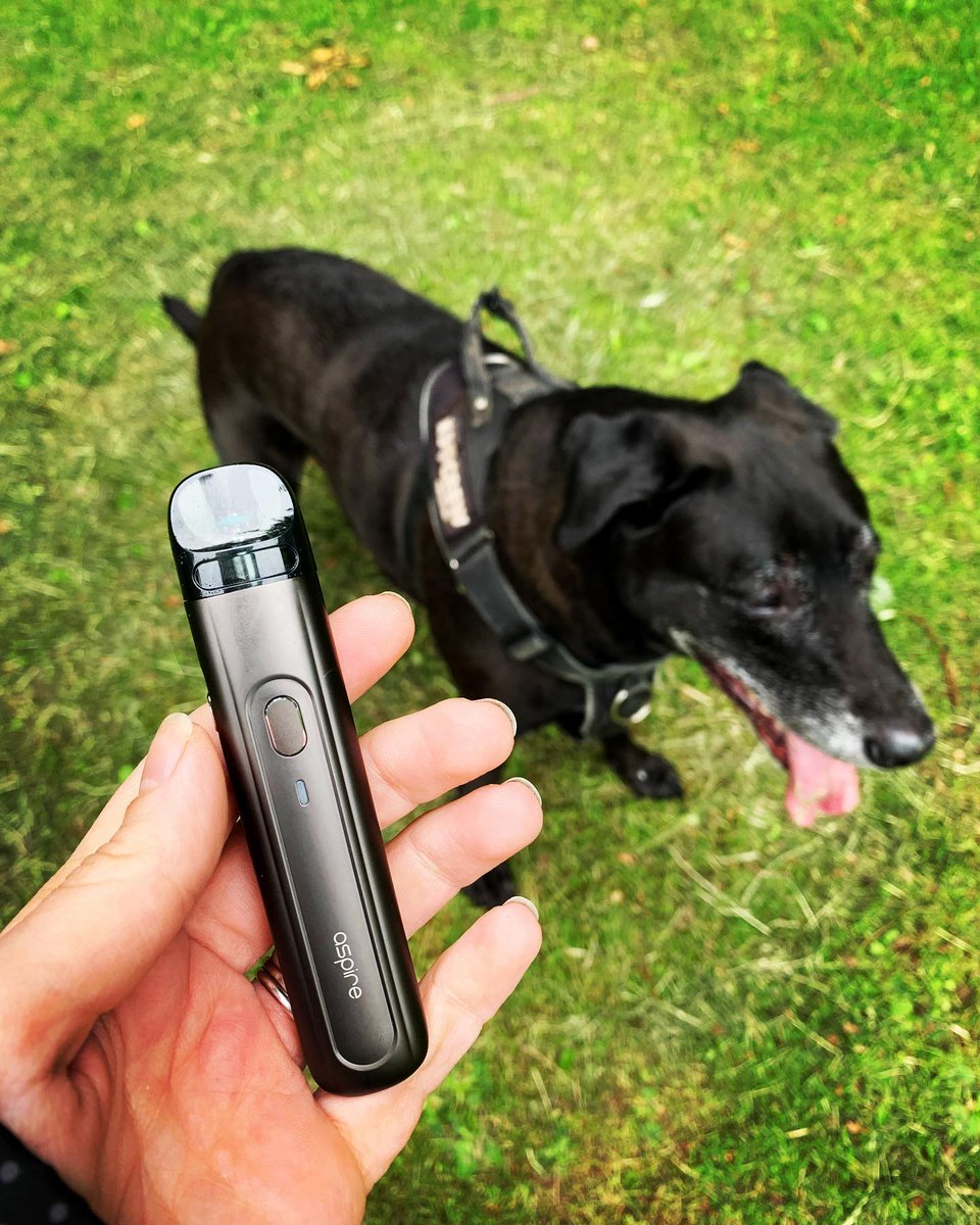 aspire_japan's tweet photo. 本日も楽しくいきまっしょい🐶
#FlexusQ #vape #vapelife #vape好きな人と繋がりたい https://t.co/OT2KQ2htP3