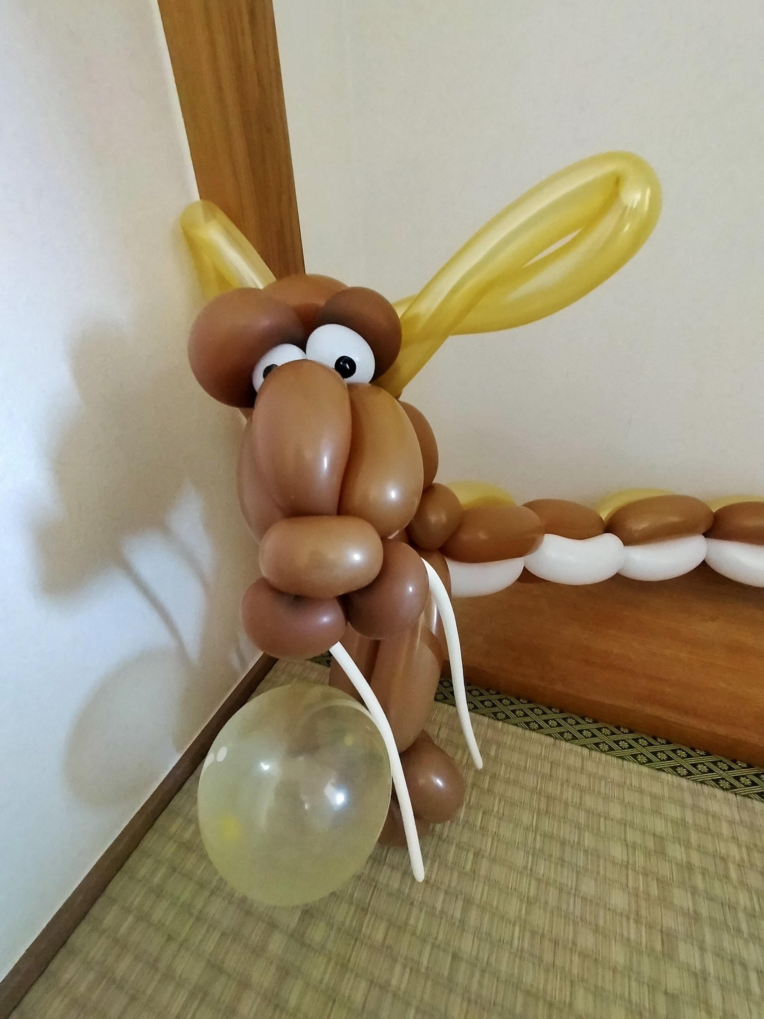 ピエコロ Piecorocororin Twitter
