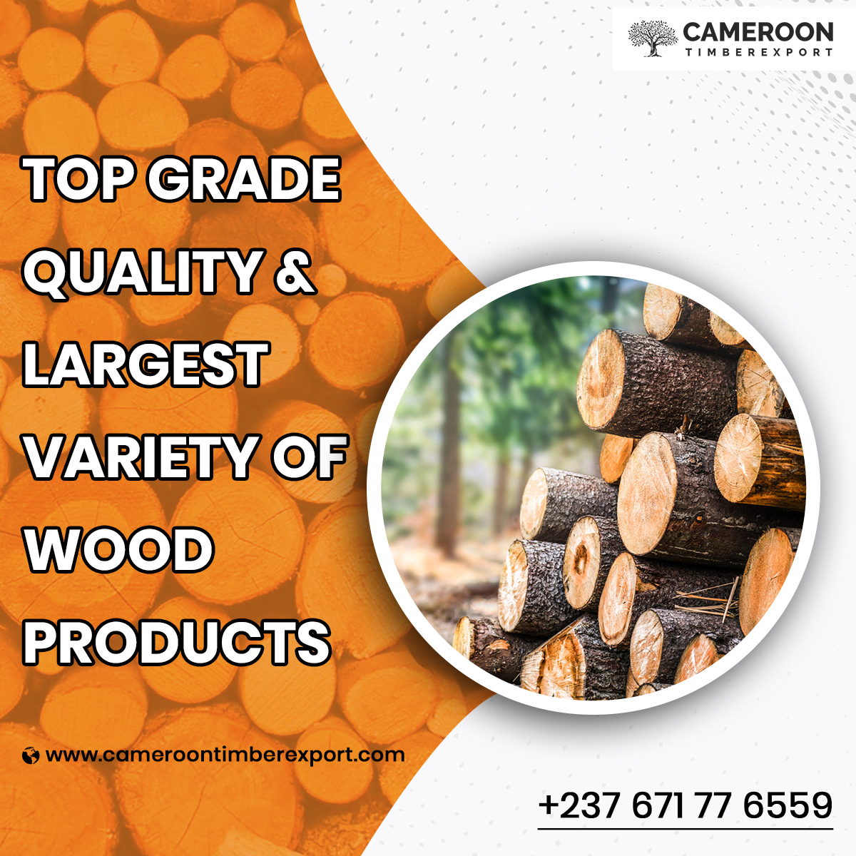 Cameroon Timber Export on Twitter "TOP GRADE QUALITY & LARGEST VARIETY OF WOOD PRODUCTS 🪵🪵🪵