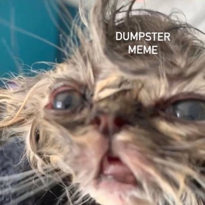 ucodumpstermeme's tweet photo. #NewProfilePic https://t.co/9NW8dnuLEn