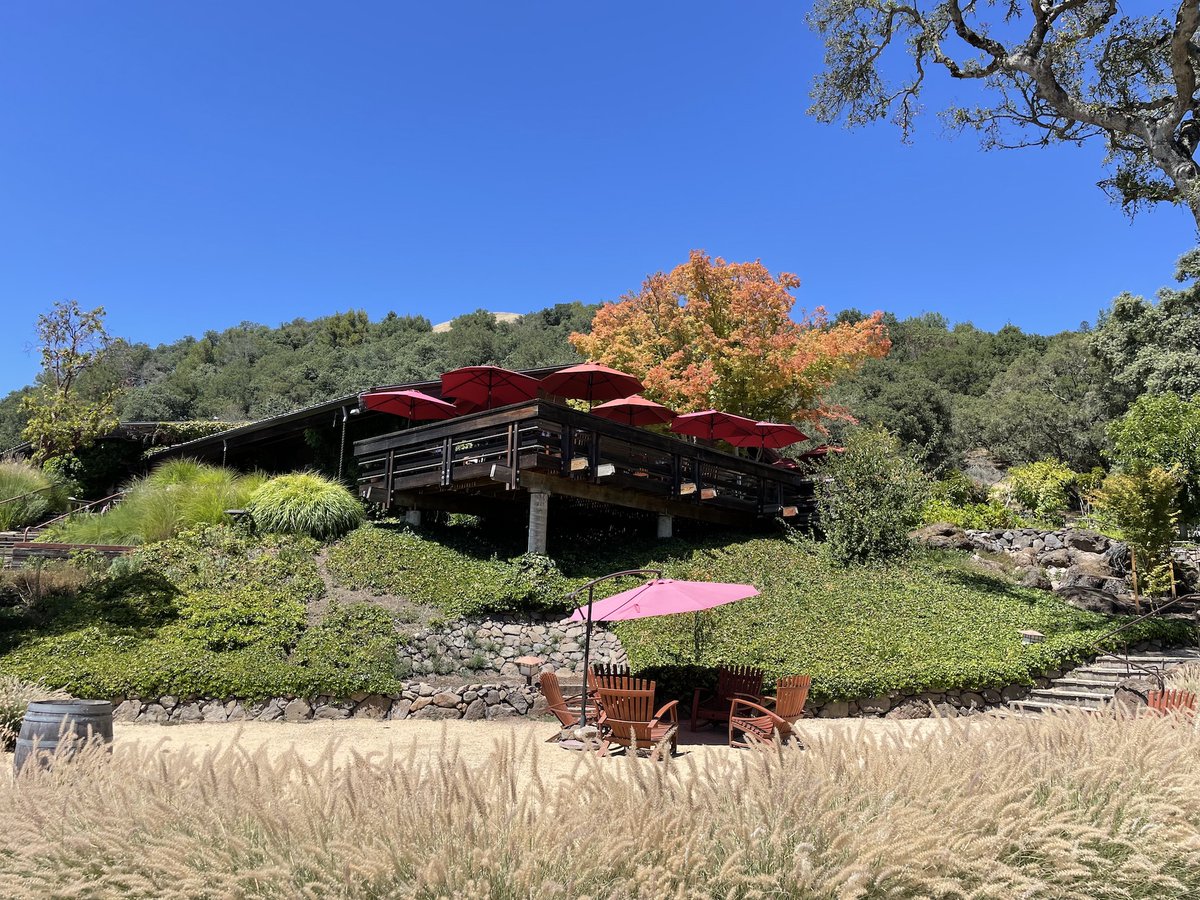TripPlusTravel's tweet photo. It feels so great to have a weekend getaway trip to Santa Rosa, CA! #santarosa #snoopy #california #northerncal #weekendgetaway #winetasting https://t.co/SPYK0ngPr4