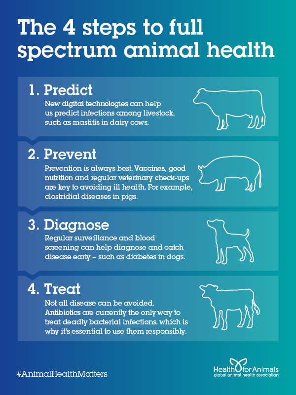 HealthforAnimals on Twitter: HealthforAnimals on Twitter: