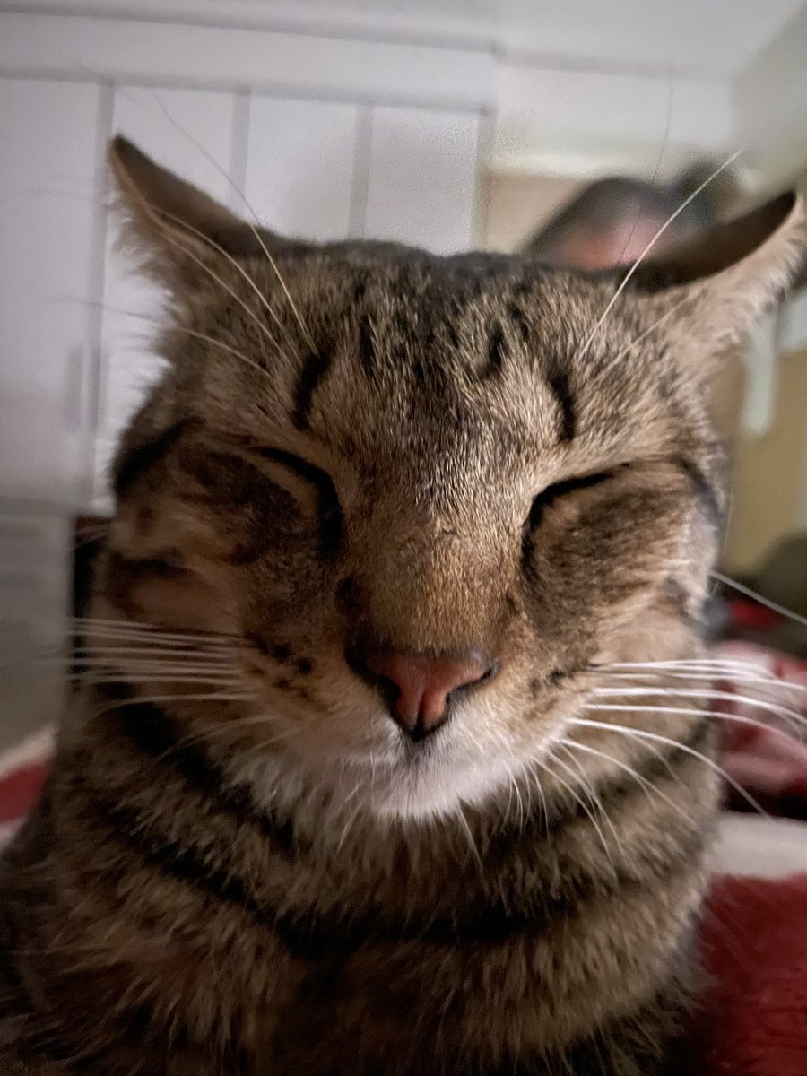 #947SamsungAddWash my most messy in the house his muddy paws when he comes in on our clothes bedding,floors and couches🙈but I love him to bits #Freddymyboy  <a href="/947/">947</a> <a href="/SamsungSA/">SamsungSA</a>