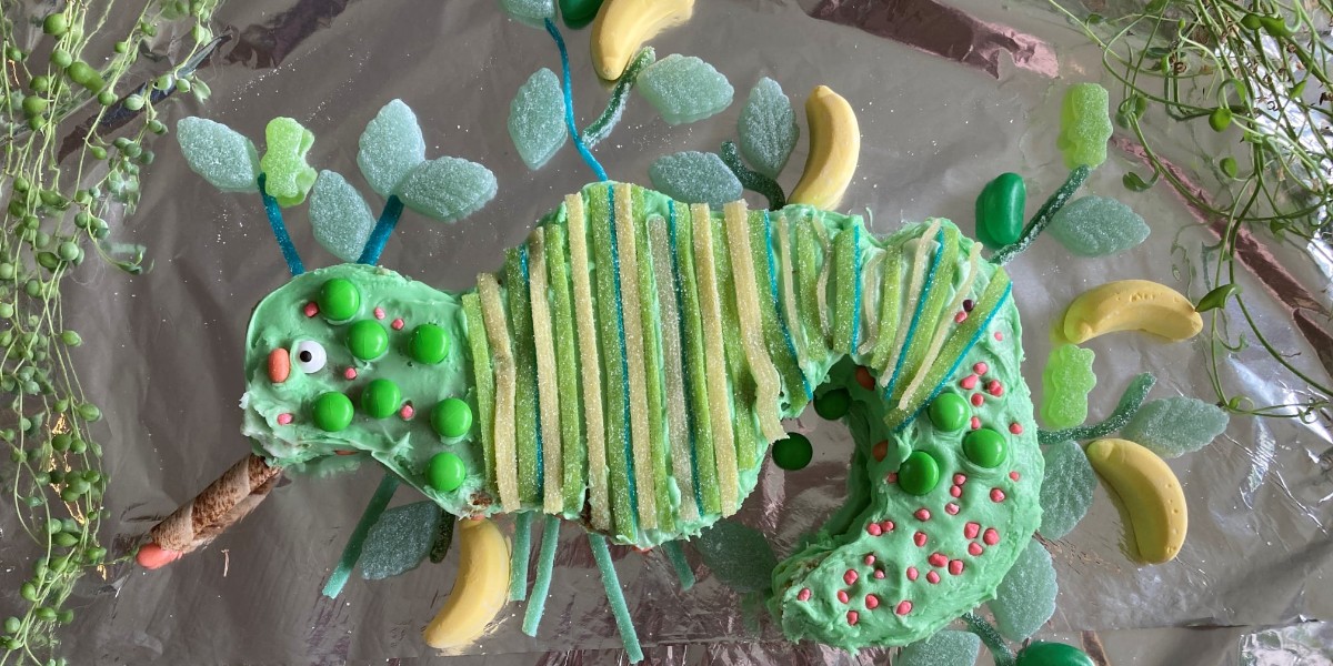 The #TSBakeOff is coming soon! The Threatened Species Bake Off is your chance to celebrate threatened plants and animals by baking a likeness. Entries open 1 September and close 30 September. 📷 2021 #TSBakeOff entries: Eliza's frogs, Gilbert's potoroo, Isla's seadragon.