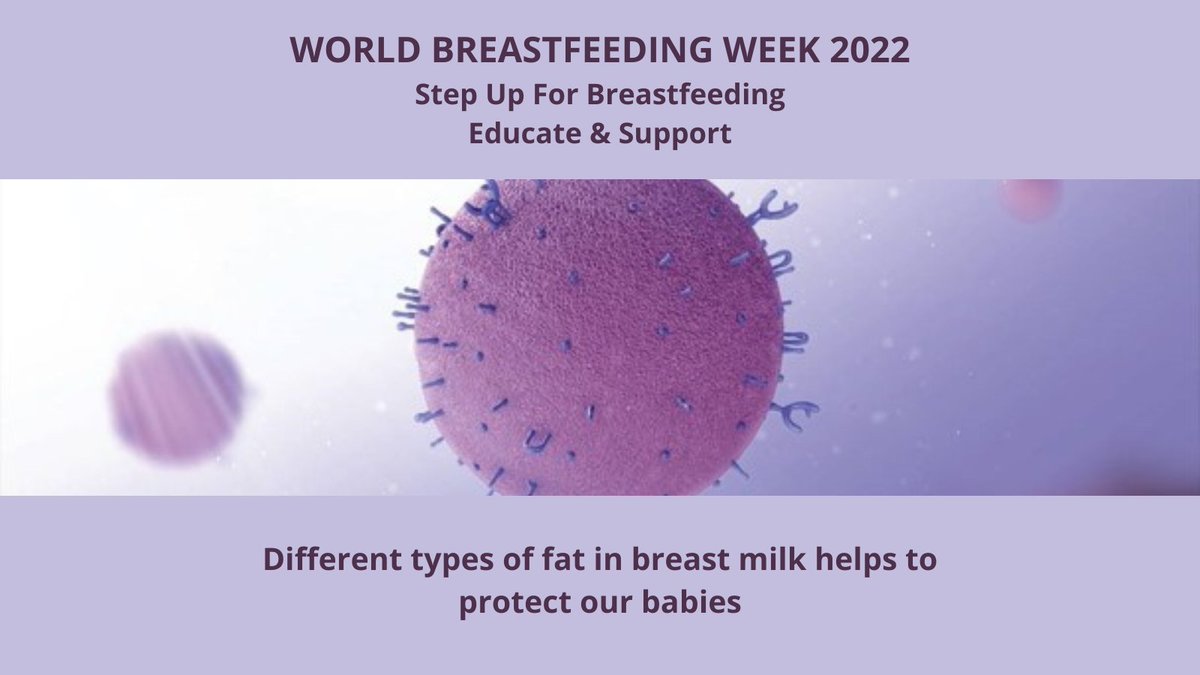 uwa_hlrg's tweet photo. DIFFERENT TYPES OF FAT IN BREAST MILK HELPS TO PROTECT OUR BABIES
Breast milk is full of good fats that are bioactive and could protect our babies from inflammation and obesity later in life
https://t.co/mxu1VuDIV7
#worldbreastfeedingweek2022 #educateandsupport @WABAsecretariat https://t.co/4v2KYbB5o3