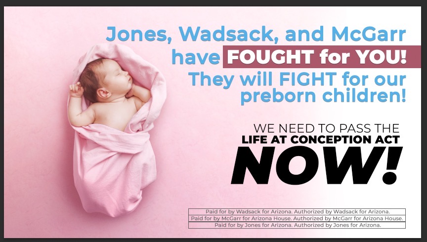 Wadsack4Arizona's tweet photo. The Arizona Freedom Team will PROtect LIFE!
#ArizonaFreedomTeam
#Wadsack4Arizona
#Jones4Arizona
#McGarr4Arizona
#ProLife #LifeAtConception https://t.co/hKlT3Ta1tO