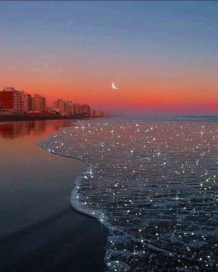 Azora2002's tweet photo. 44. Allah fait alterner la nuit et le jour. Il y a là un sujet de réflexion pour ceux qui ont des yeux.45. Et Allah a créé d'eau tout animal. Il y en a qui marche sur le ventre, d'autres marchent sur deux pattes, et d'autres encore marchent sur quatre.

Allah existe , he is one☝️ https://t.co/8aLYf9RheD