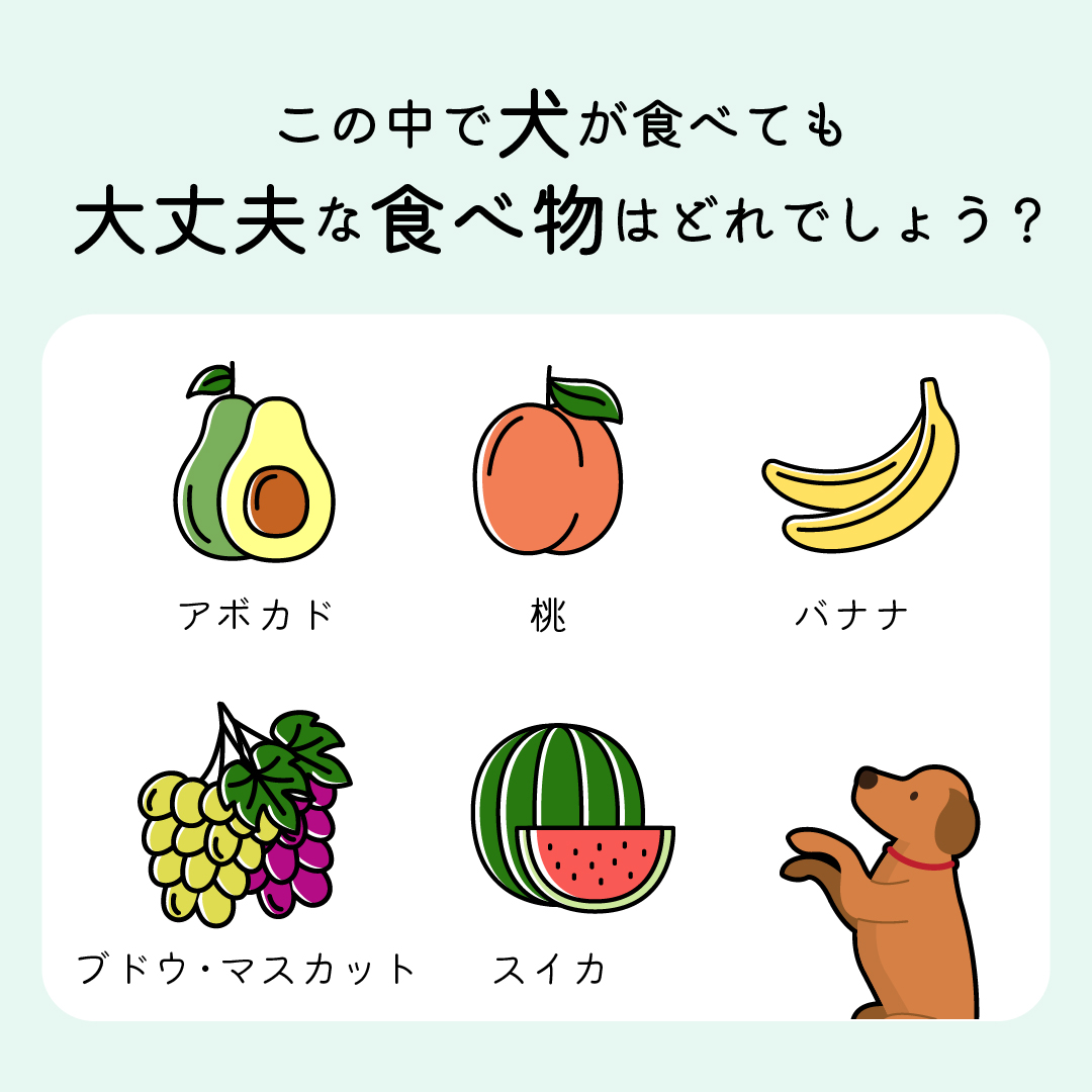 ぷにぷにpaw ポー 愛犬との毎日がもっとハッピーになるためのワンちゃん専門サイト Punipunipaw Twitter