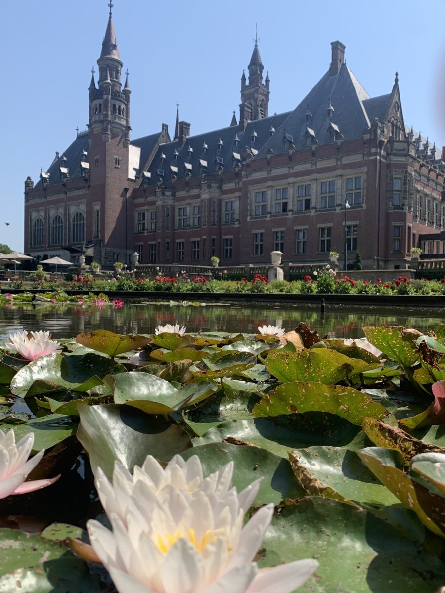 Peace Palace - Vredespaleis tweet media