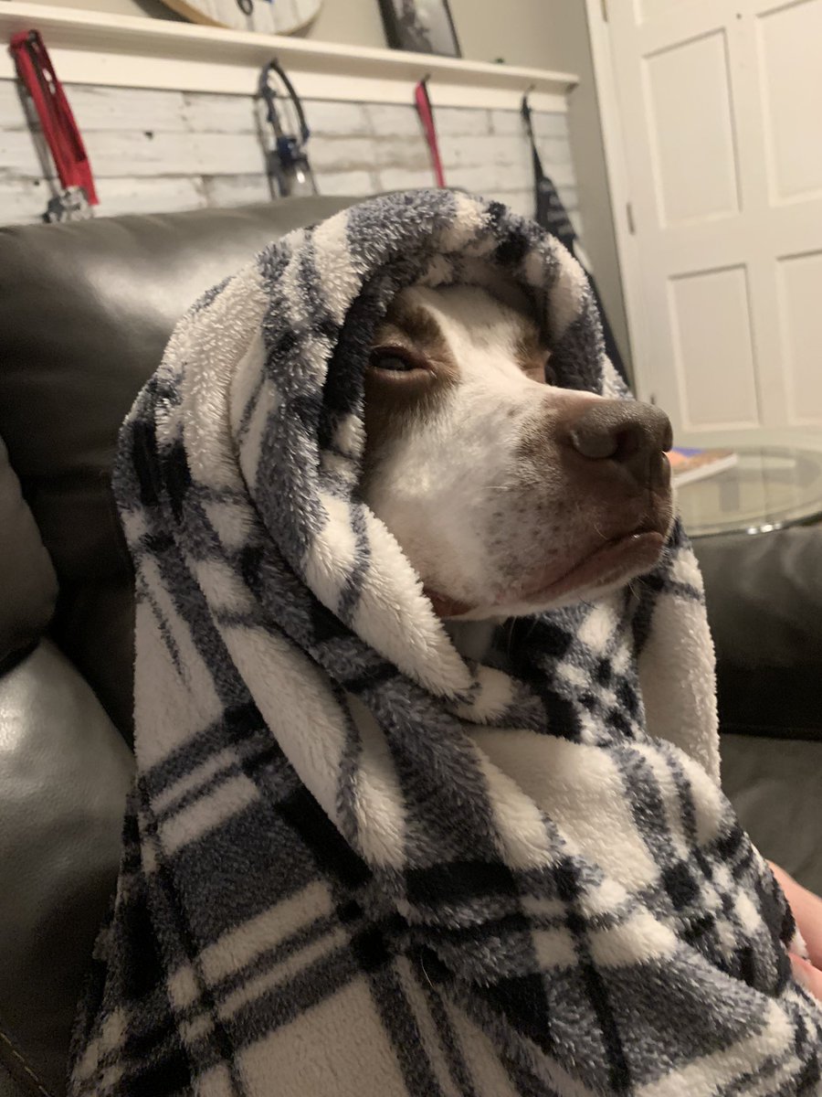 Papa Asha'man tweet media