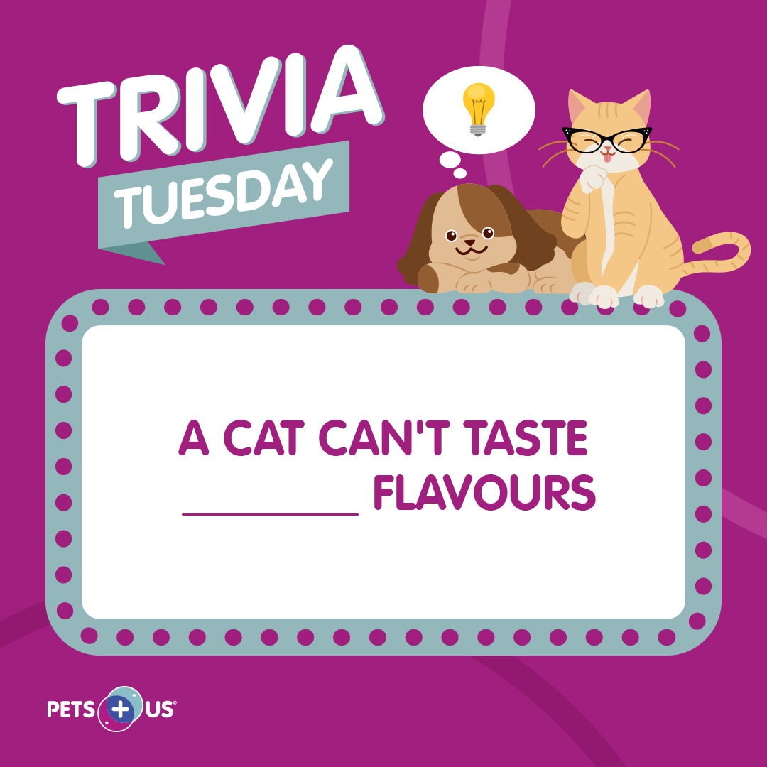 PetsPlusUsIns's tweet image. #Win a $25 PetSmart gift card! To enter, answer the question, retweet this post and follow @PetsPlusUsInsby 11:59PM EST. Open to Canadian &amp;amp; US residents (excluding QC). This contest is not sponsored, endorsed, administered by or associated with Twitter. bit.ly/3MzbWVZ