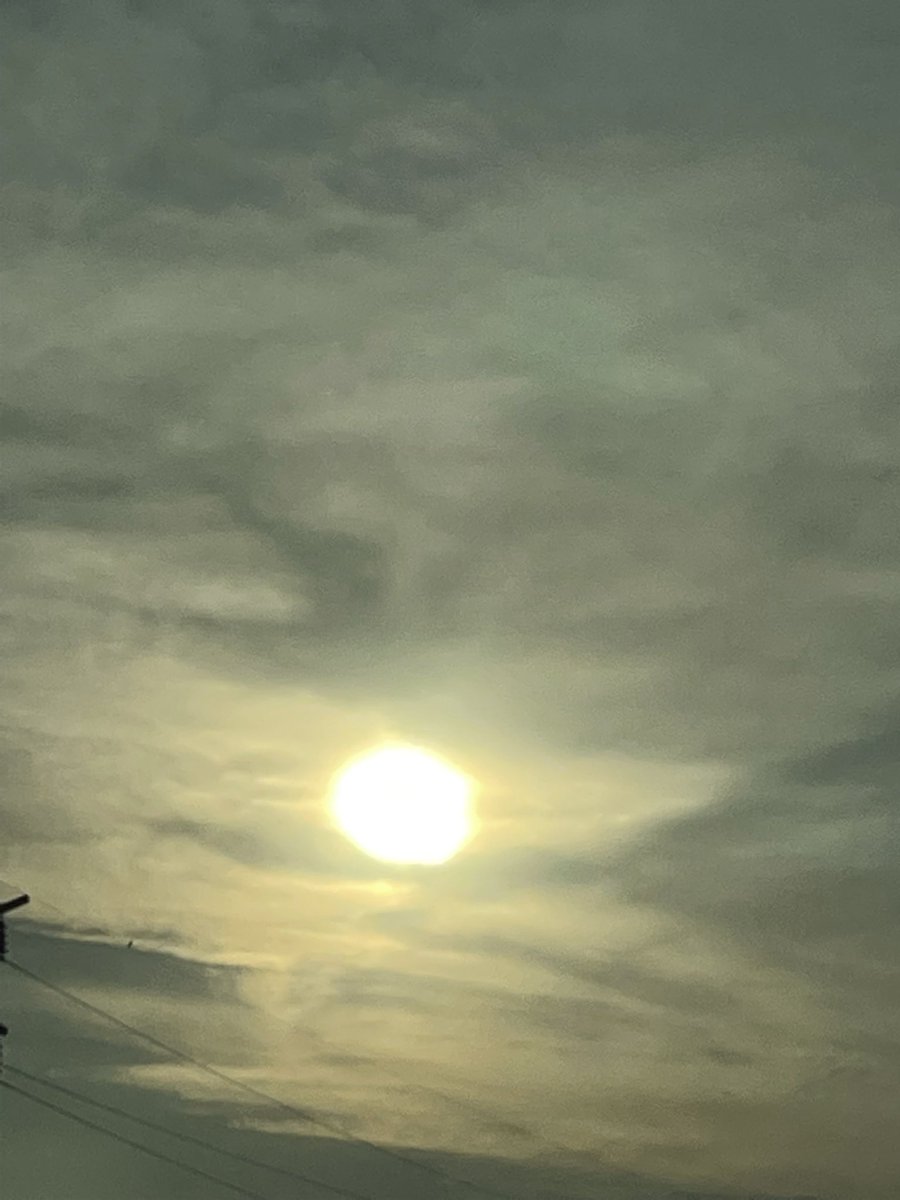 Nihon Wisteria tweet media