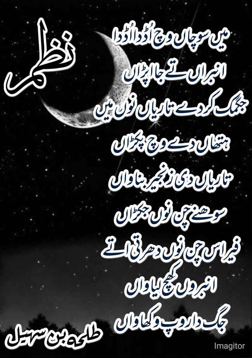 نظم 

میں سوچاں وِچ اُڈدا اُڈدا
انبراں تے جا اپڑاں 
جگمک کردے تاریاں نُوں میں
ہتھاں دے وچ پکڑاں
تاریاں دی زنجیر بناواں
سوھنے چن نُوں جکڑاں
فیر اس چن نوں دھرتی اُتے
انبروں کِھچ لیاواں
جگ دا رُوپ وکھاواں

طلحہ بن سہیل 

<a href="/rubab_jafferi/">Rubab jaffery</a> <a href="/aybiay_/">Aybiay🇵🇰❤️</a> @ShahidGadri @EjazSbc <a href="/AmnE22/">آمنہ💫</a>