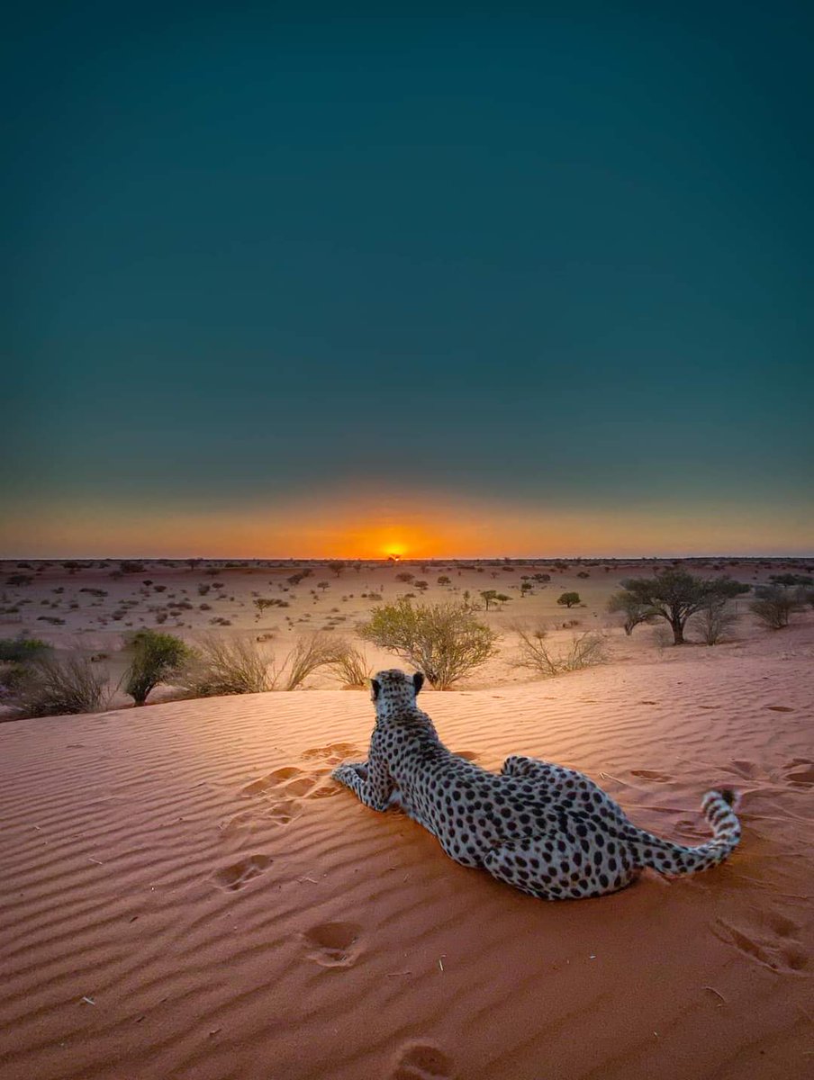 Love_OnlyUU's tweet image. Good Evening 💞