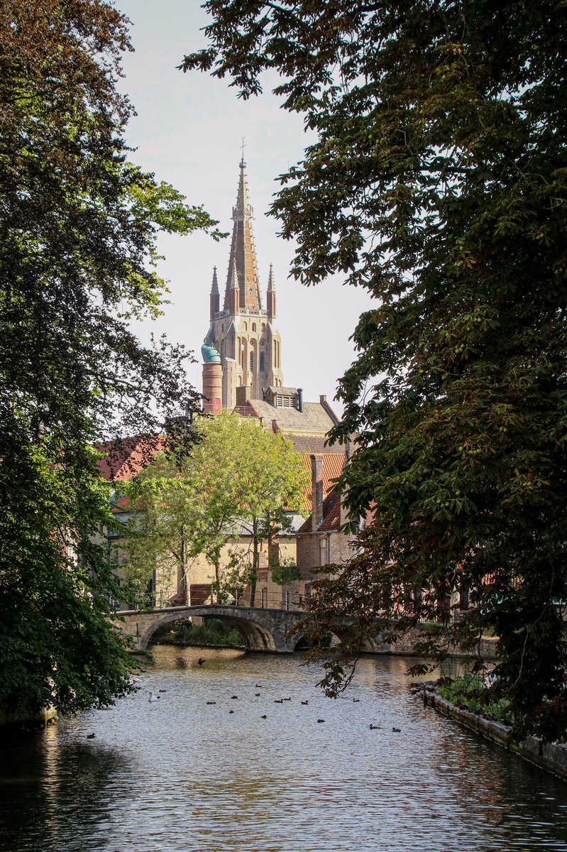 david_g_cooper's tweet photo. #60InAugust DAY 2️⃣

🇧🇪 Brugge • Bruges
A planned trip here with my 3 was a victim of COVID……I think they would have liked it…… https://t.co/kmUb5NDePQ