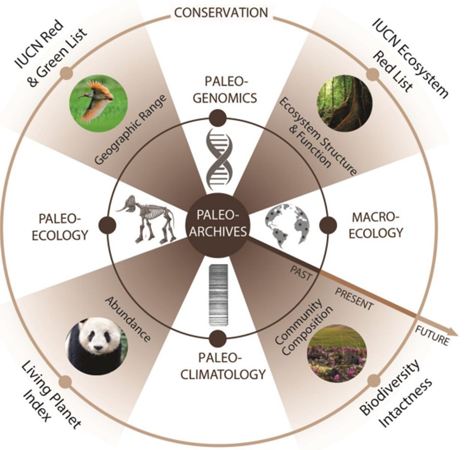 Still few days to apply for our Phd Course on Species Distributions under Climate Change! This year with an emphasis on the integrations of genomics (and paleo-genomics) and Species Distribution Models phdcourses.ku.dk/DetailKursus.a…