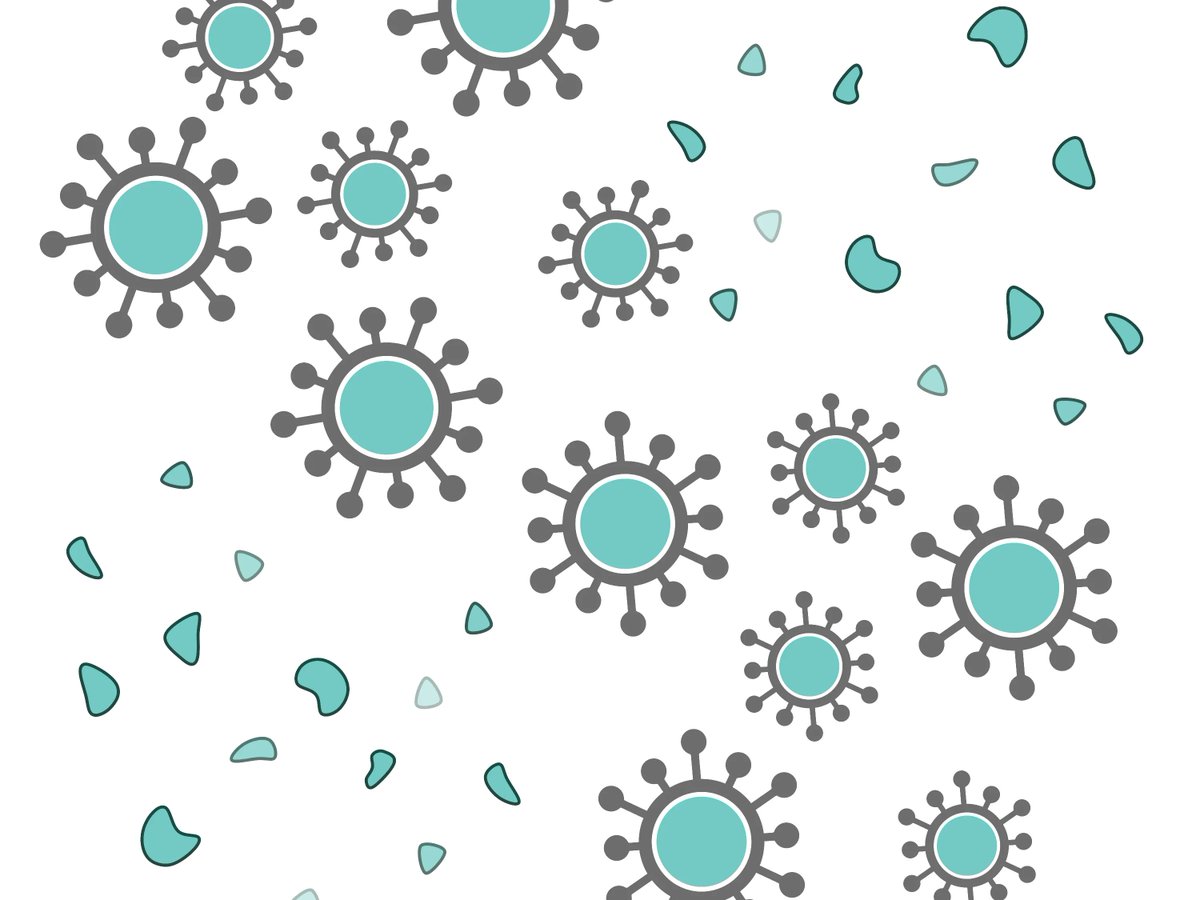 NCI researchers are developing an #immunotherapy that involves injecting protein bits from cytomegalovirus (CMV) into tumors. In mice, the treatment shrank tumors and kept them from returning.  cancer.gov/news-events/ca… @nciresearchctr