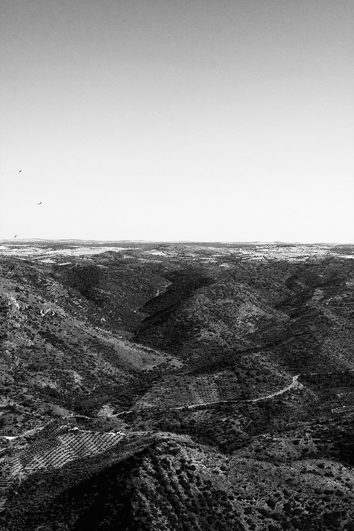 Daniela Alves tweet media