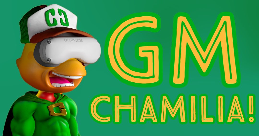 Chillnchameleon's tweet photo. GM #Chamilia ☀️🦎 https://t.co/cA5rkroja0