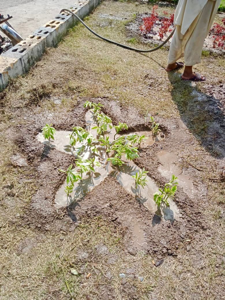 DCGRW's tweet photo. MC staff developed green belt and plants new saplings at entrance gate / I Love Wazirabad green belt on GT road entrance.
#GoGreenPak
#GoGreenGujrnawala
@CMOPunjabPK
@CS_Punjab
@CommissionerGu3
@CleanGreenPK https://t.co/qxJTFuT9W6