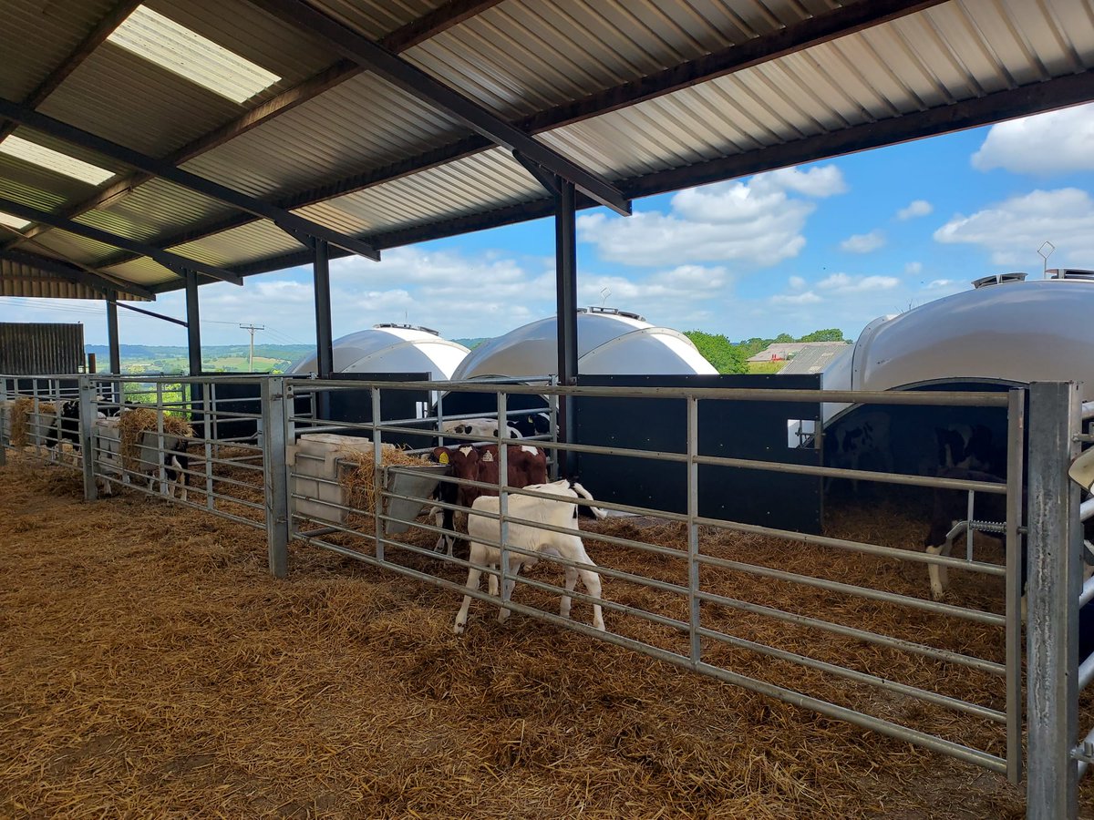 Looking forward to <a href="/HonitonShow1890/">Honiton Show</a> . Hoping for better weather than last year. Any calf rearing questions please visit <a href="/Rumitechs/">Rumitechs</a> where you will find us with some <a href="/HolmLaue/">Holm&Laue</a> housing products.