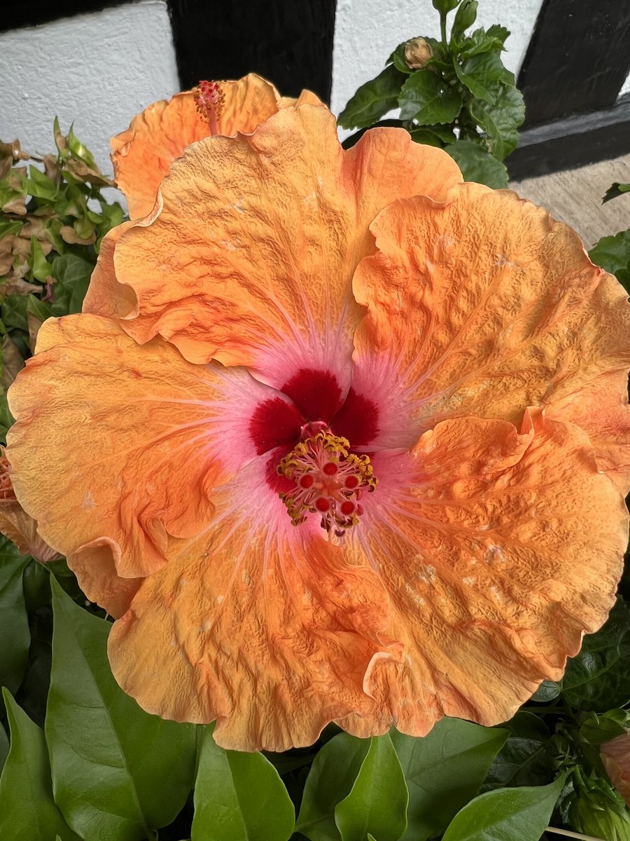 reubstock's tweet image. Good morning fellow humans. You’re a wonderful bunch. ❤️ R