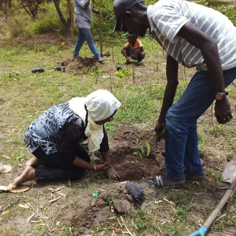 ONG_JED_SN's tweet photo. Le #Camp "Samm sunu alaam 2" s'est tenu du 23 au 30 juillet 2022 et a mobilisé une centaine  de #jeunes issus des #mouvements associatifs de jeunesse de #Mboro  pour la #reforestation de la couverture végétale du #Cifop.
5000 #plants ont pu être enfouis dans les terres du Cifop. https://t.co/g024yct7G6