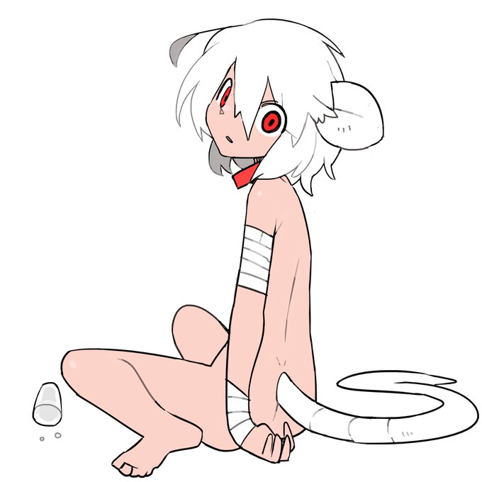 実験用のハツカネズミ 