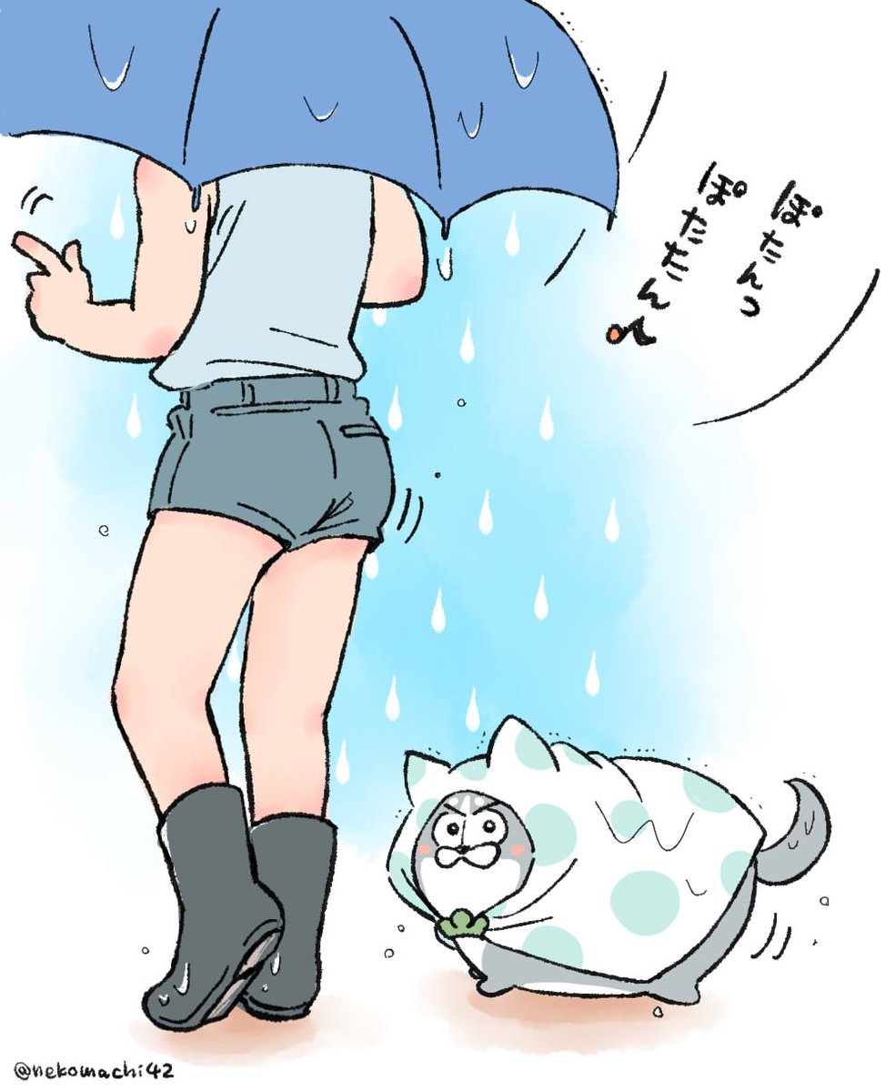 雨の日のからまつ君 