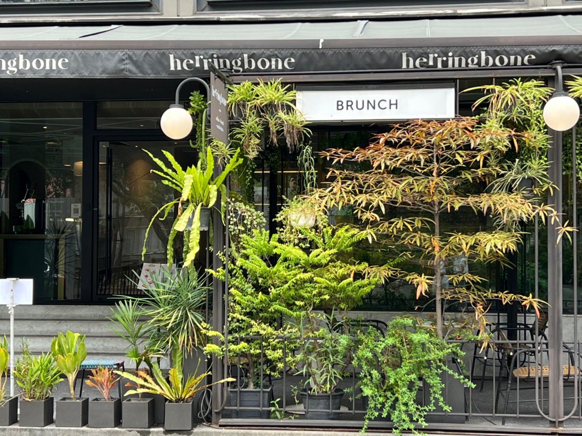 _everydaywithus's tweet photo. herringbone🍝 — ร้านอาหารย่านสุขุมวิท ทองหล่อ ที่มีอาหารหลากหลายทั้งสลัด พาสต้า แซนวิชและพานินี่ แล้วก็บรันช์ (eggs benedict, full breakfast etc.) 

ใครที่กำลังหา all day breakfast ควรมาลองง!!🤍

#_everydaywithus
#อร่อยบอกต่อ #รีวิวคาเฟ่ #คาเฟ่ทองหล่อ #คาเฟ่สุขุมวิท @aroii https://t.co/hXRwcJMfX2