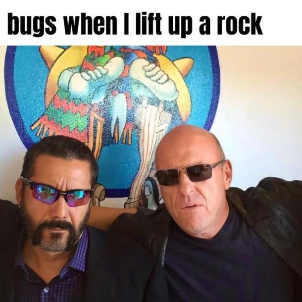 bugman512's tweet image. 