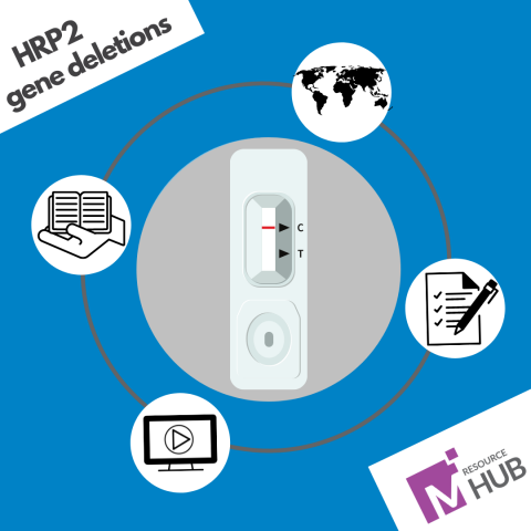 MESAmalaria's tweet photo. Noticing false negative #malaria results due to HRP2 gene deletions 🧬?

Check out our resource compilation containing a comprehensive list of tools and guidance to help you stay ahead of this issue.

https://t.co/tCXbhW5SnW https://t.co/He1fWKwRpn
