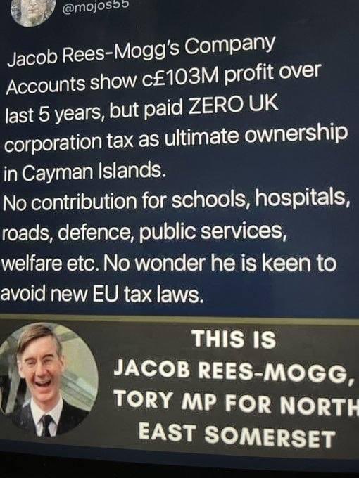 Mogg Twitter