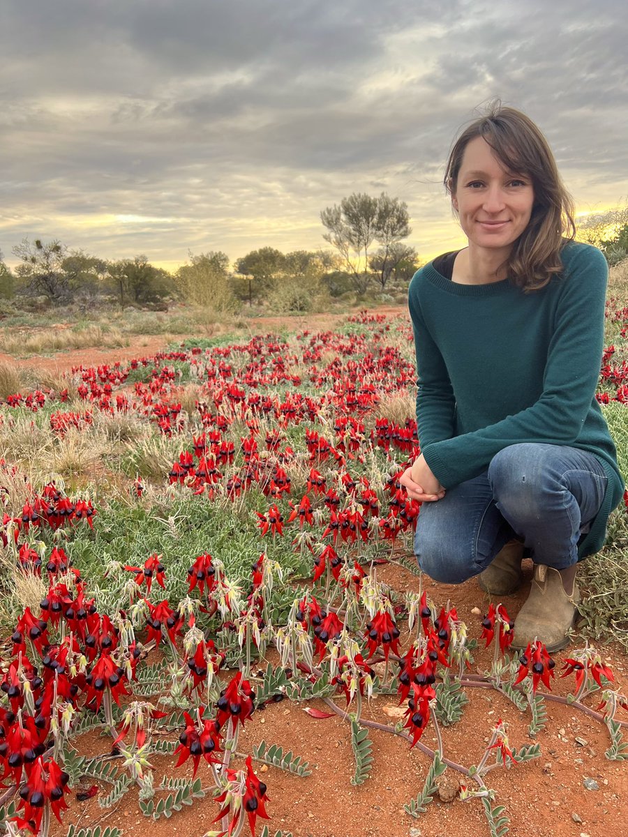 Anika Molesworth tweet media