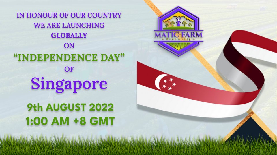 MATIC FARM LLP tweet media