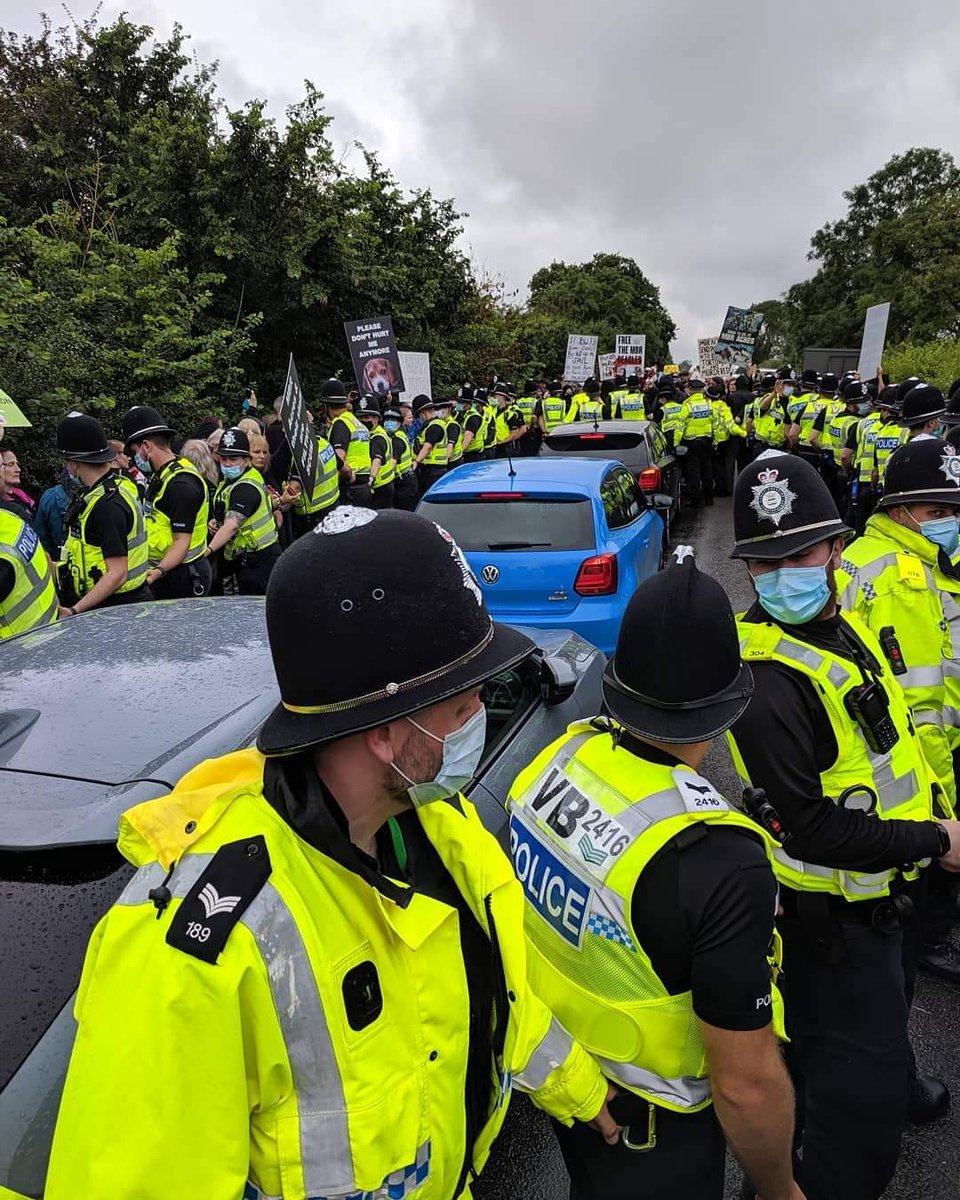 One year ago today. The police defending people who breed Beagle puppies and send them to laboratories to be tortured. If you have ever had doubts that morality and legality are usually opposing, here's the proof 👇

Vile scum!
#bananimaltesting #bananimalexperiments