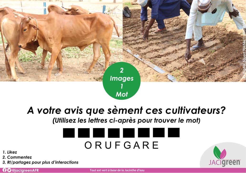 #Amusons_nous_un_peu
Dites nous en commentaire, ce que vous pensez que sèment ces cultivateurs.
Indices 😁😁😁
📌Un mot de 8 lettres
📌1ère lettre <<F>>

Max de like et Rt please pour plus d'interactions.
#2_Images_1_mot