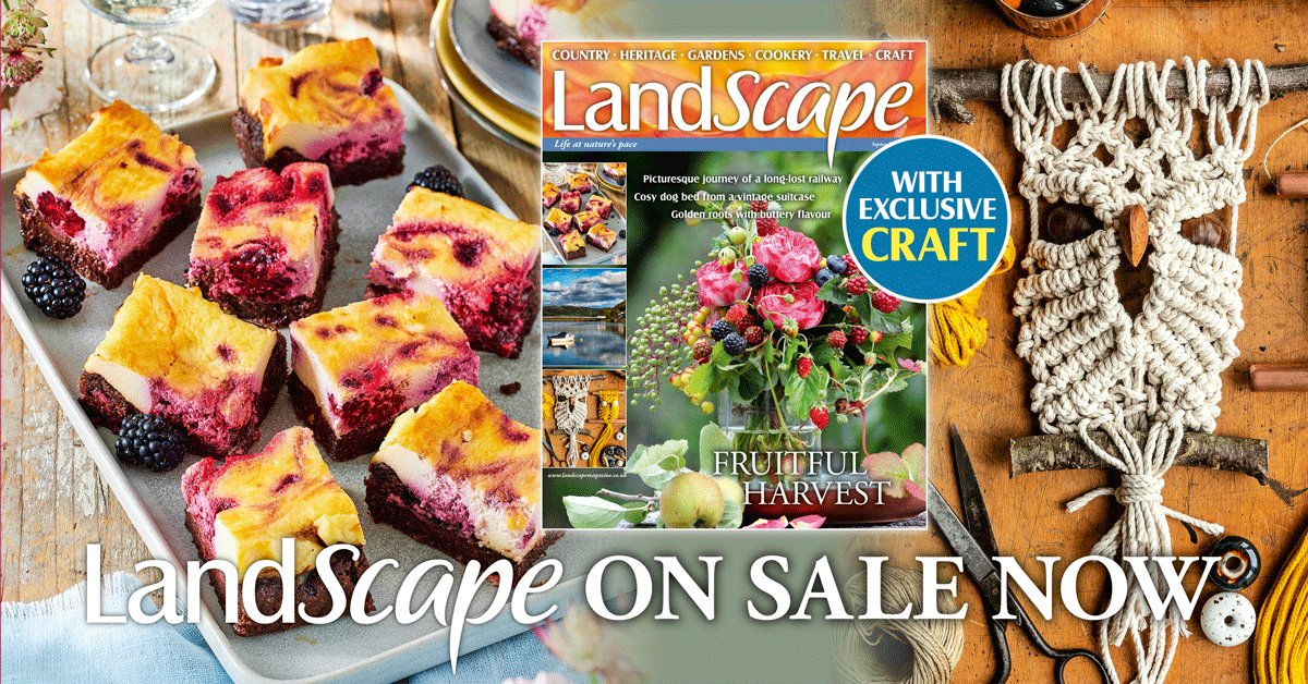 Our sister title LandScape magazine has a new issue out! Walk among a hillside garden, with borders bursting with vibrant planting and make the most of the flavour of the hedgerow with delicious recipes.
Plus, enjoy our exclusive macramé pattern for a wise owl wall hanging!🦉