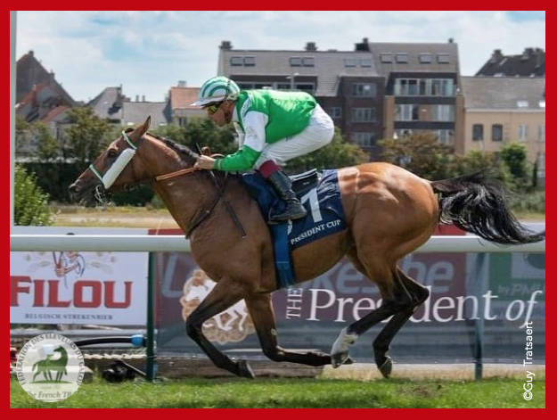 Fedeeleveurs's tweet photo. 🇧🇪 Gagnant de groupe chez les Pur-sang Arabes en Belgique 🇧🇪
Félicitations à SA Haseg pour la victoire de JARIF dans le President of the UAE Cup, Groupe 3 PA ce lundi sur l'Hippodrome d'Ostende !! 👏
#vivelelevagefrancais #BreedInFrance #RaceAndCare https://t.co/Br8xVfZkDQ